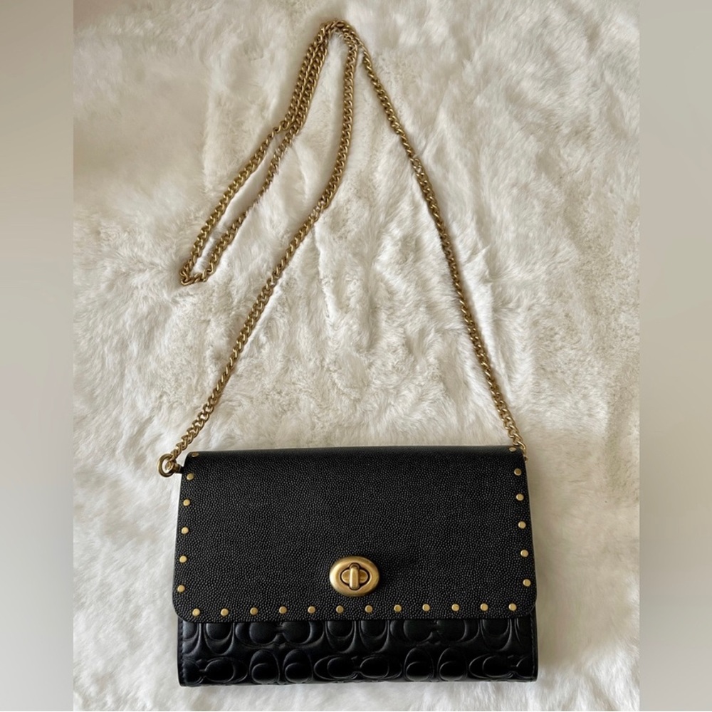 Coach wallet on chain leather bag NWT